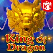 Chính sách Cookie của v9bet7a và sự đồng ý của người dùng